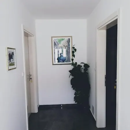 Apartman Blue Eyes * Podstrana